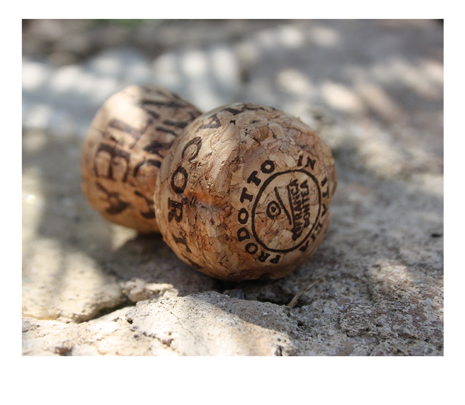 L'etica di Franca Contea e il suo modo di fare vino. Il Franciacorta di Franca Contea